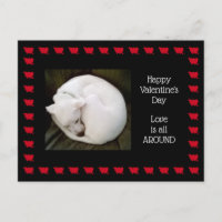 Photo d'un chien blanc mignon roulé comme un chat