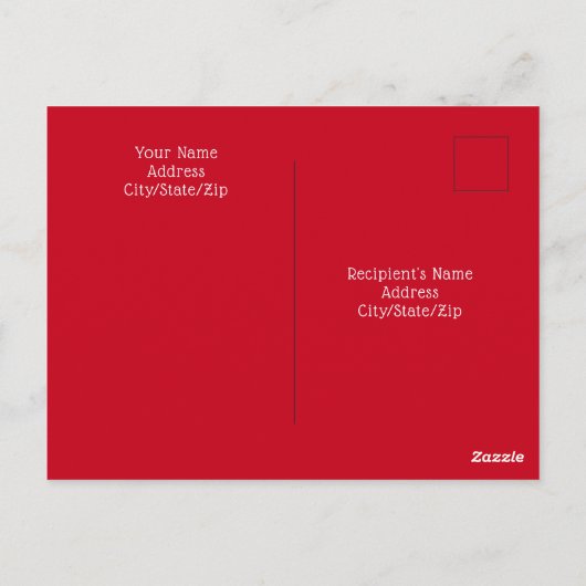 Carte Postale Photo d'un chien blanc mignon roulé comme un chat (Dos)