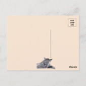 Carte Postale Photo d'un Cougar Cub 11 mois Pic (Dos)