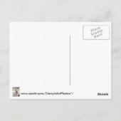 Carte Postale Photo d'une petite girafe marchant dans la nature  (Dos)