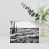 Carte Postale photo en noir et blanc (Debout devant)