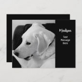 Carte Postale Photo en noir et blanc du magnifique chien blanc (Devant / Derrière)