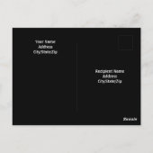 Carte Postale Photo en noir et blanc d'un beau chien blanc (Dos)