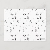 Carte Postale photo en noir et blanc d'un troupeau d'oiseaux (Dos)