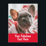 Carte Postale Photo et texte personnalisés<br><div class="desc">Carte postale photo et texte personnalisée</div>