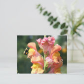 Carte Postale Photo Fleur Abeille Sur Snapdragon (Debout devant)
