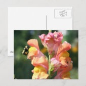 Carte Postale Photo Fleur Abeille Sur Snapdragon (Devant / Derrière)