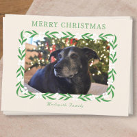 Photo Fleur de Noël élégante