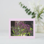 Carte postale photo Fleur sauvage violette (Debout devant)