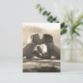 Carte Postale Photo Girl Love (Debout devant)