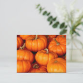 Carte Postale Photo grand Citrouille orange (Debout devant)