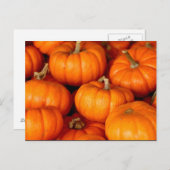 Carte Postale Photo grand Citrouille orange (Devant / Derrière)