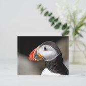 Carte postale photo Groffin Close-up (Debout devant)