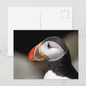 Carte postale photo Groffin Close-up (Devant / Derrière)