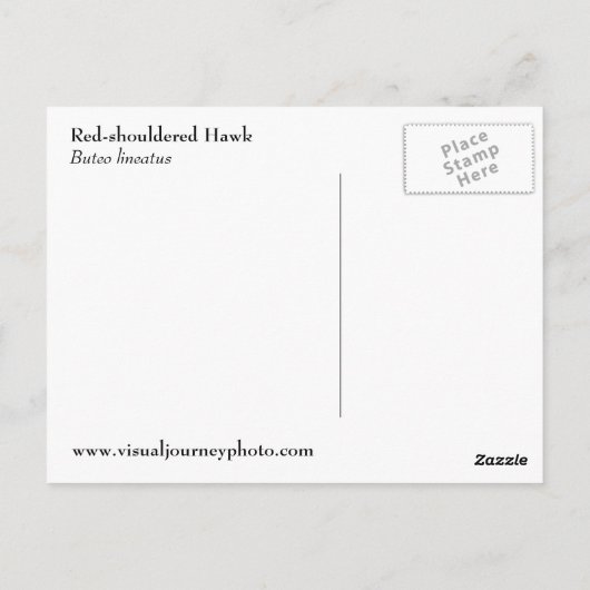 Carte postale photo Hawk à épaulettes rouges (Dos)