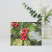 Carte Postale Photo Holly (Debout devant)