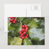 Carte Postale Photo Holly (Devant / Derrière)