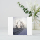 Carte Postale photo hongrie (Debout devant)