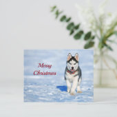 Carte Postale Photo Husky Puppy Neige Noël (Debout devant)