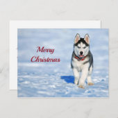 Carte Postale Photo Husky Puppy Neige Noël (Devant / Derrière)