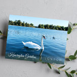 Carte Postale Photo Kensignton Gardens Le parc royal LONDON UK<br><div class="desc">Beau cygne blanc nageant dans l'étang rond à Kensington Gardens Royal Park London UK - carte postale photo - sept 2019 - photo par Anka</div>