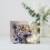 Carte Postale Photo léopard (Debout devant)