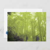 Carte postale photo "L'esprit dans les arbres" (Devant / Derrière)