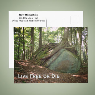 Carte Postale Photo Live Free or Die New Hampshire