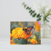 Carte Postale Photo Monarch Butterfly Marigold (Debout devant)