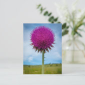 Carte postale Photo Musk Thistle (Debout devant)