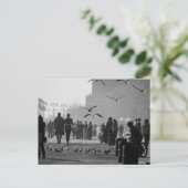 Carte Postale Photo noire et blanche de promenade de Coney (Debout devant)