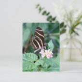 Carte postale Photo Papillon Zebra Longwing (Debout devant)