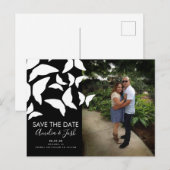 Carte postale photo papillons éparpillés pour anno (Devant / Derrière)