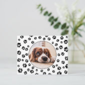 Carte Postale Photo Pawprints Puppy (Debout devant)