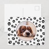 Carte Postale Photo Pawprints Puppy (Devant / Derrière)