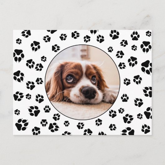Carte Postale Photo Pawprints Puppy (Devant)