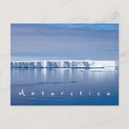 Carte Postale Photo paysage de l'iceberg Antarctique avec texte (Devant)