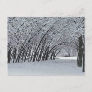 Carte postale photo paysage d'hiver