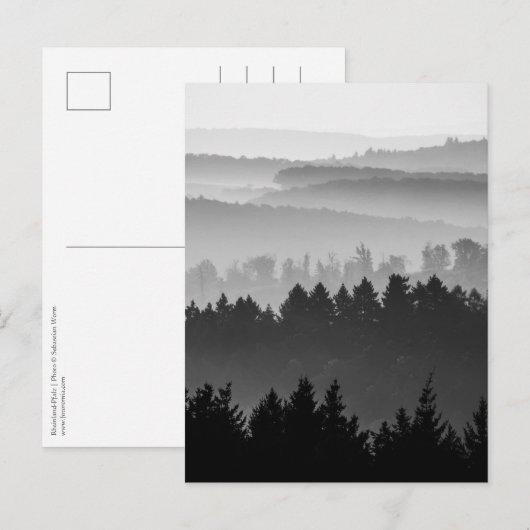 Carte Postale Photo paysage noir et blanc de la forêt (Devant / Derrière)