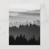 Carte Postale Photo paysage noir et blanc de la forêt (Devant)