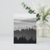 Carte Postale Photo paysage noir et blanc de la forêt (Debout devant)