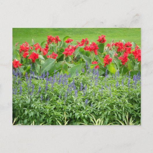 Carte Postale Photo personnalisée (Devant)