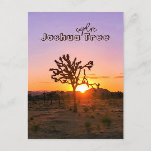 Carte Postale Photo personnalisée Purple Orange Sunset Joshua Tr