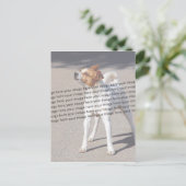 Carte Postale Photo PET ✨ Lovely Custom (Debout devant)