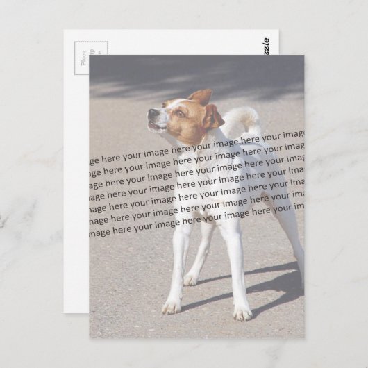 Carte Postale Photo PET ✨ Lovely Custom (Devant / Derrière)