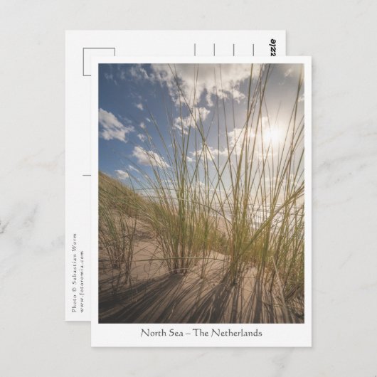 Carte Postale Photo plage et soleil nature (Devant / Derrière)