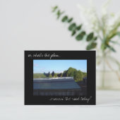 Carte postale photo 'Plans de poulet' (Debout devant)
