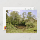 Carte postale photo Pond caché (Devant / Derrière)