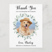 Carte Postale Photo pour animaux de compagnie moderne Eucalyptus (Devant)