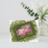 Carte Postale Photo Pretty Rose Poppy (Debout devant)